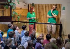 Krokodýlí zoo Krokodýlí zoo