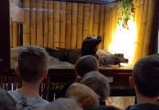 Krokodýlí zoo Krokodýlí zoo