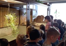 Krokodýlí zoo Krokodýlí zoo