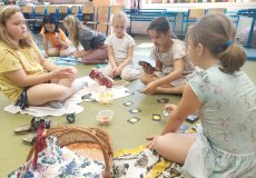 Třídní piknik Třídní piknik